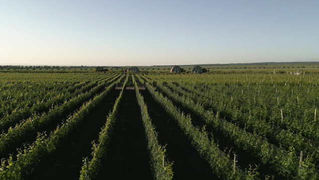 Путешествие Луны или как я снова трахнул азиатку Luna Okko